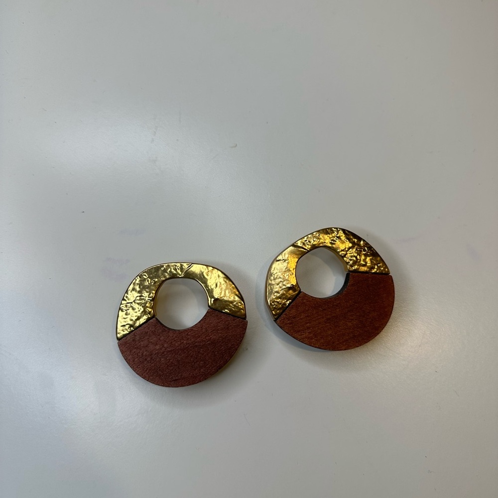 Zara Gold and Brown Circular Earrings